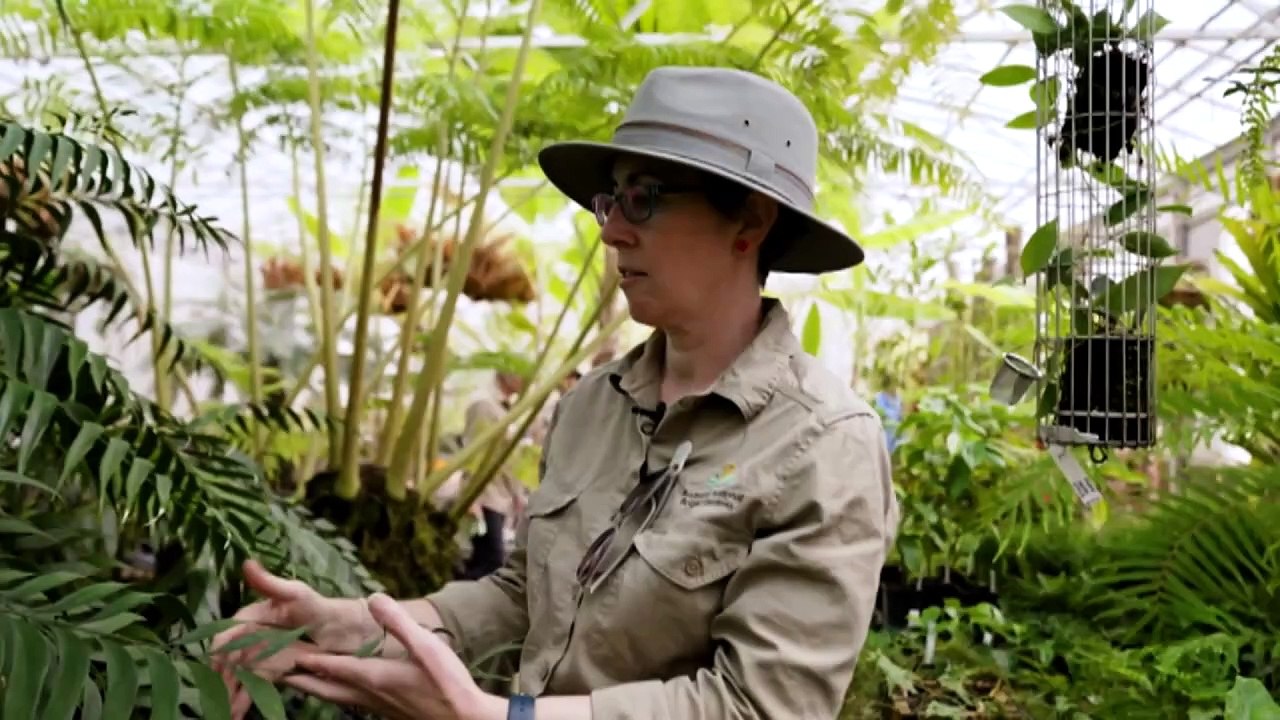 ‘Squishy’ volunteers at the Australian National Botanic Gardens help to keep pests away from the garden’s most precious plants