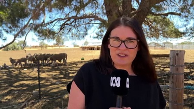 Farmers are struggling to keep afloat after devastating weather conditions across South Australia