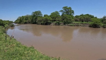 Días de Pesca en Busca del Pique | Aventura en Arroyos y Laguna | Campo y Naturaleza | Video de Pesca