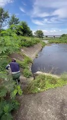 ,,,,,,,Much fishes caught in first chance,,,,,,