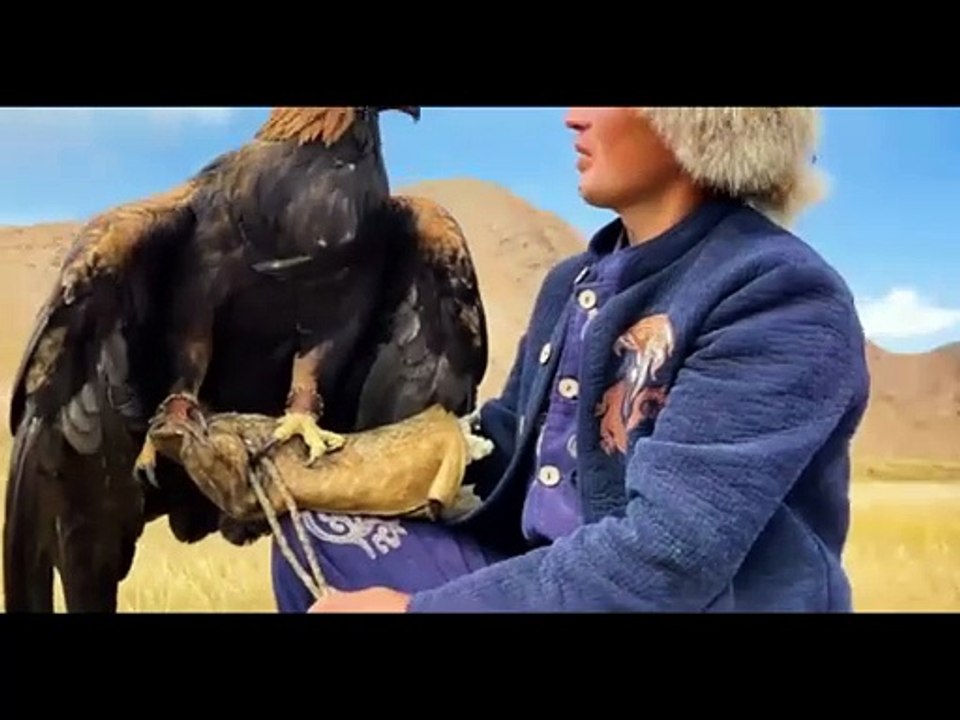 EAGLE FACTS