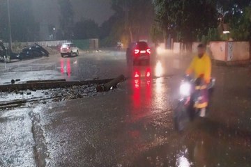 swm: मावठ के बाद कोहरे में लिपटा रहा शहर