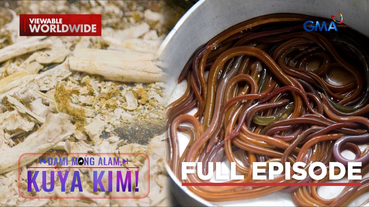 Uri ng isda, mukhang bulate?!; Totoo nga ba ang green bones? | Dami Mong Alam, Kuya Kim!