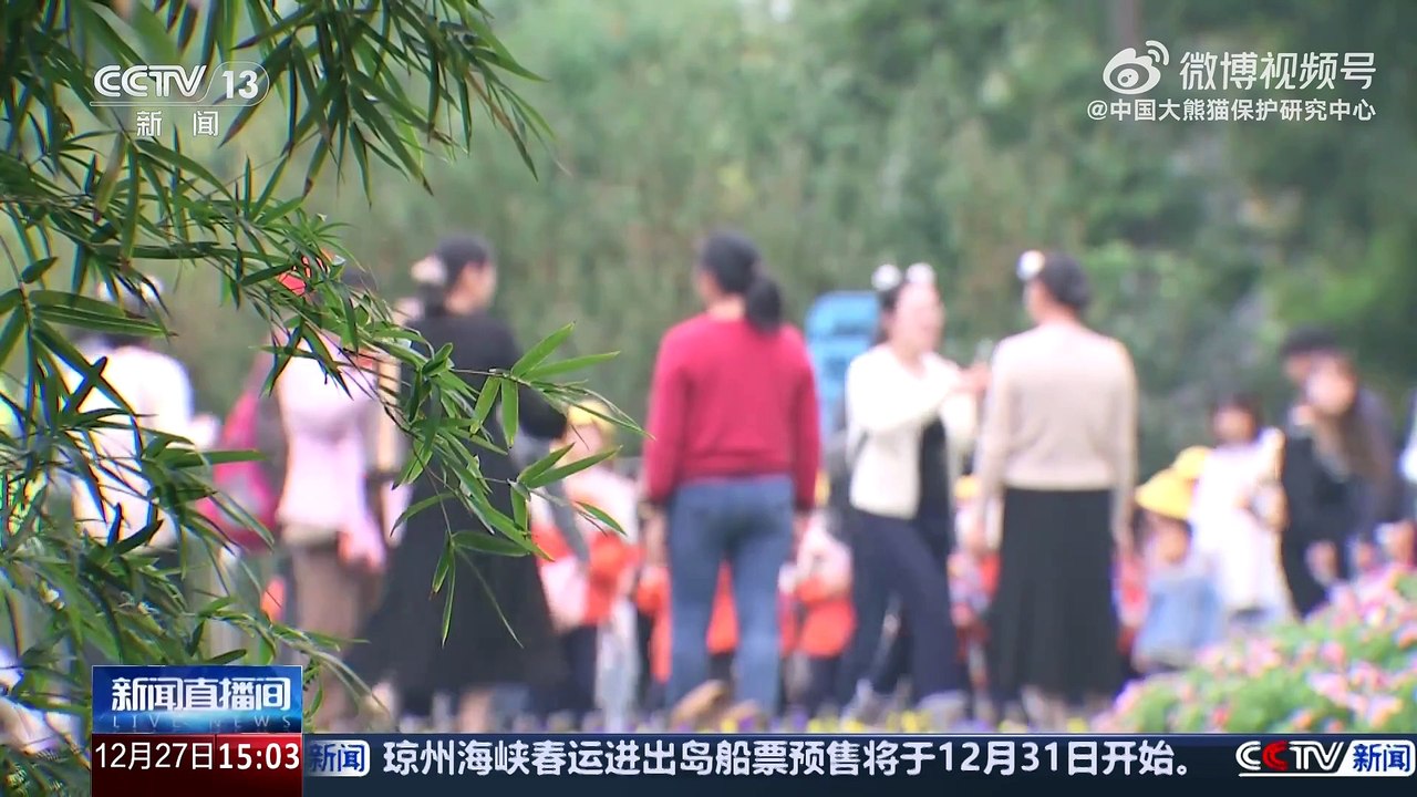 谣言下的大熊猫 是“... - @中国大熊猫保护研究中心 的视频 - 视频 - 微博-1