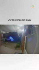 He'll be back again someday