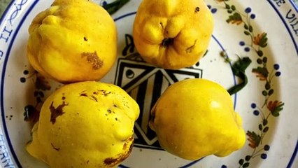 40 años de ‘Guía espiritual de Castilla’, de José Jiménez Lozano. Guadalupe Arbona (IV)