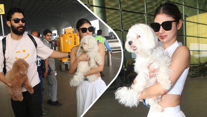 टीवी की मशहूर नागिन Mouni Roy मुंबई एअरपोर्ट पर अपने पति और दोनों डॉगीज के साथ आई नजर