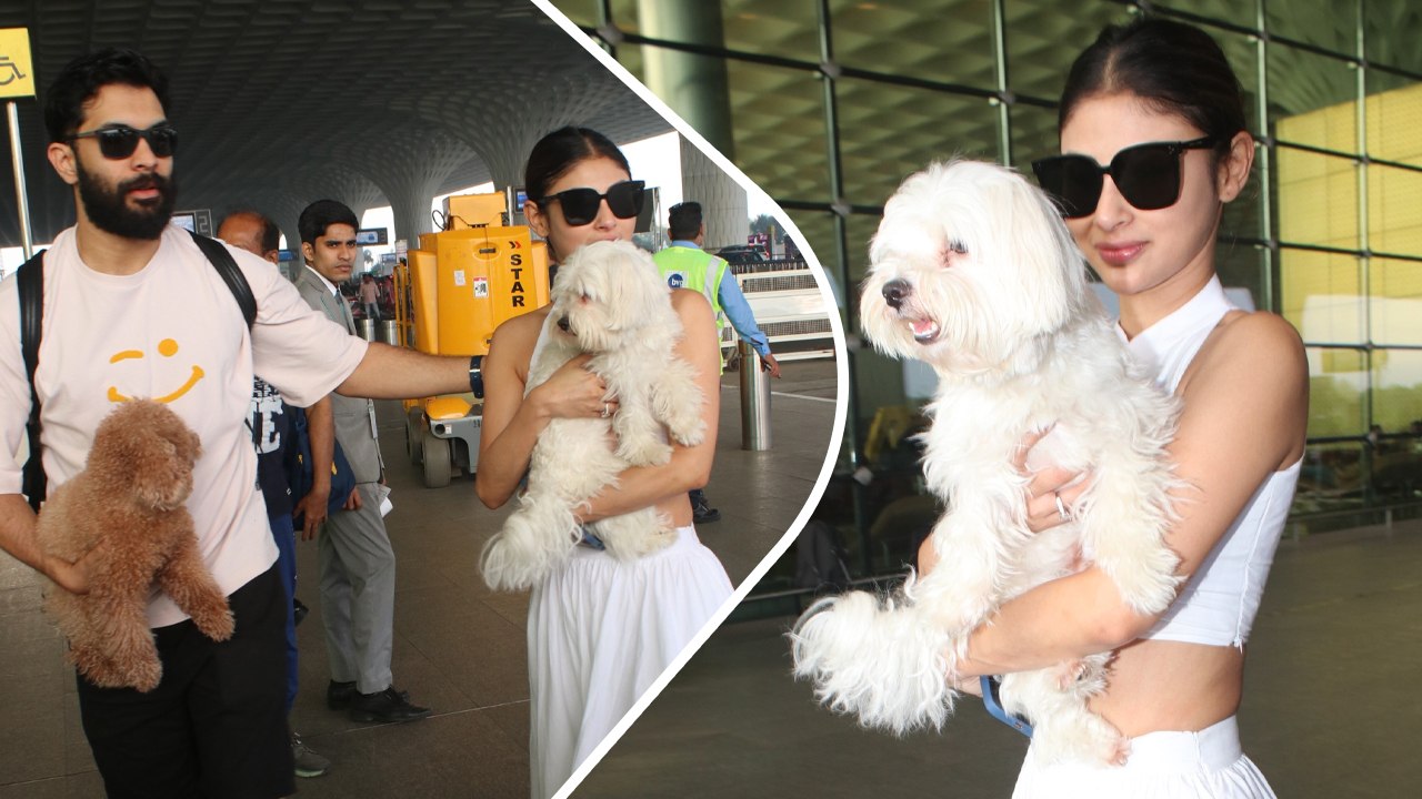 टीवी की मशहूर नागिन Mouni Roy मुंबई एअरपोर्ट पर अपने पति और दोनों डॉगीज के साथ आई नजर