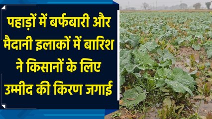 Mountains में Snowfall और मैदानी इलाकों में Rain ने Farmers के लिए उम्मीद की किरण जगाई