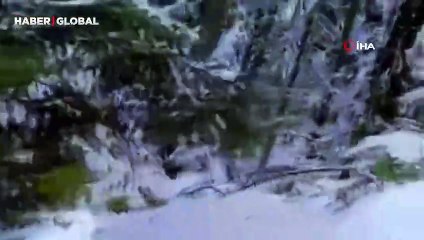 Bolu’da kameraya takıldı: Nadir görülen kızıl geyiğin güzelliği büyüledi