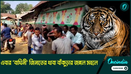 পুরুলিয়া ঘুরে এবার বাঁকুড়ার জঙ্গল মহলে থাবা বসালো ‘বাঘিনী’ জিনাত