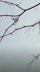 Dünya'yı şoka uğratan görüntüler: Çin 6. nesil savaş uçağını ilk kez uçurdu!