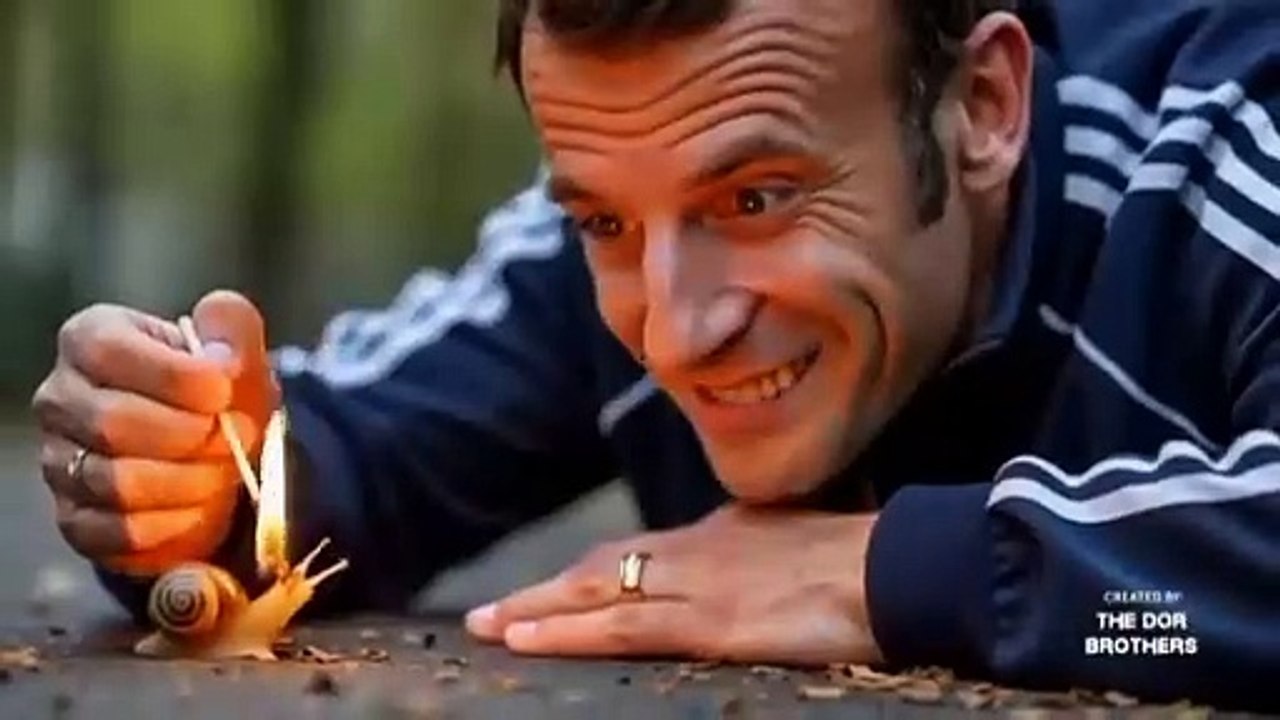 VID_20241228165617