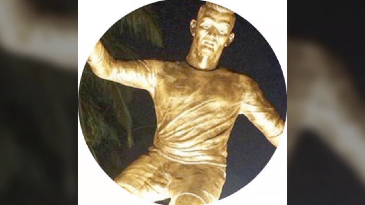 Christiano Ronaldo statue in India.