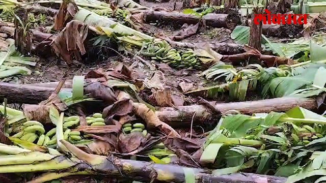 जळगाव जिल्ह्याला अवकाळी पावसाचा तडाखा..