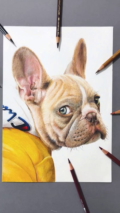 Dessin réaliste d’un chien bouledogue