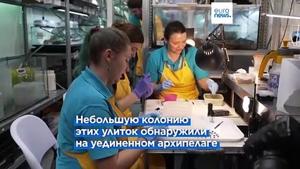 Британский зоопарк выпустил на волю редчайших улиток