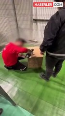 İstanbul Havalimanı'nda bulunan yavru gorile ilişkin bakanlıktan paylaşım