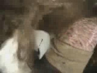 accident spectaculaire rallye