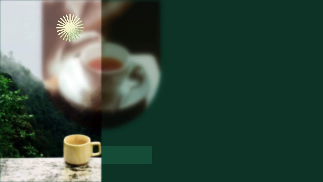 Best Detox Tea for Weight Loss A Guide by Nutrabharat