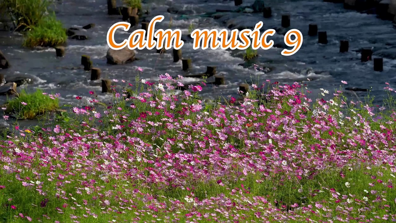 Calm Music 9