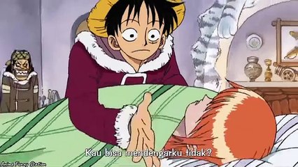 Momen Lucu One Piece Drum Rock Mountain