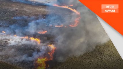 Cuaca 2024: Rekod cuaca ekstrem dan usaha peralihan hijau