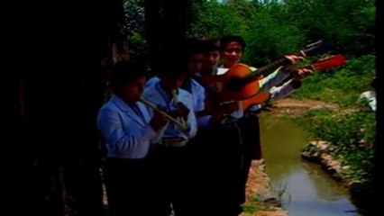 Villancicos de Navidad en Canal 13 UCTV | Recopilación