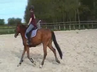 Oula hop trot gauche-droite