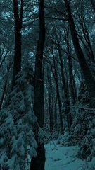 lo hermoso de la naturaleza