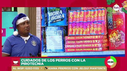 Cuidado de las mascotas por fuegos artificiales