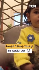 لو قطتك زهقانة أعزمها في الكافيه ده  😺