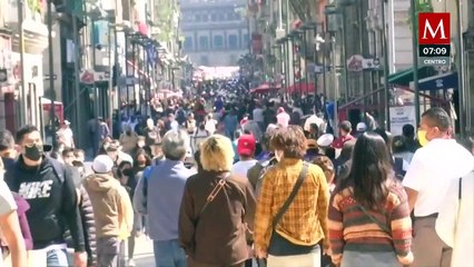 Dolores Padierna califica a extintos organismos autónomos como: "pilares del neoliberalismo"