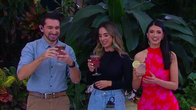 bd-bebidas-para-sus-invitados-301224