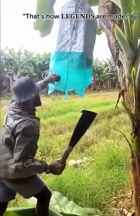 Perfect cutting