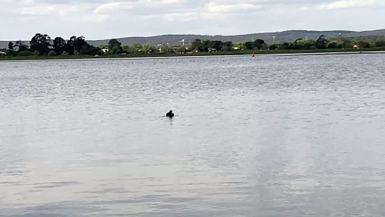 Lakeside Fishing
