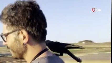 Doktorun karga ile dostluğu görenleri şaşırtıyor