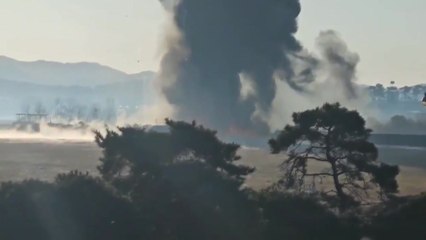 무안공항 여객기 추락 124명 사망...구조 작업 중 / YTN