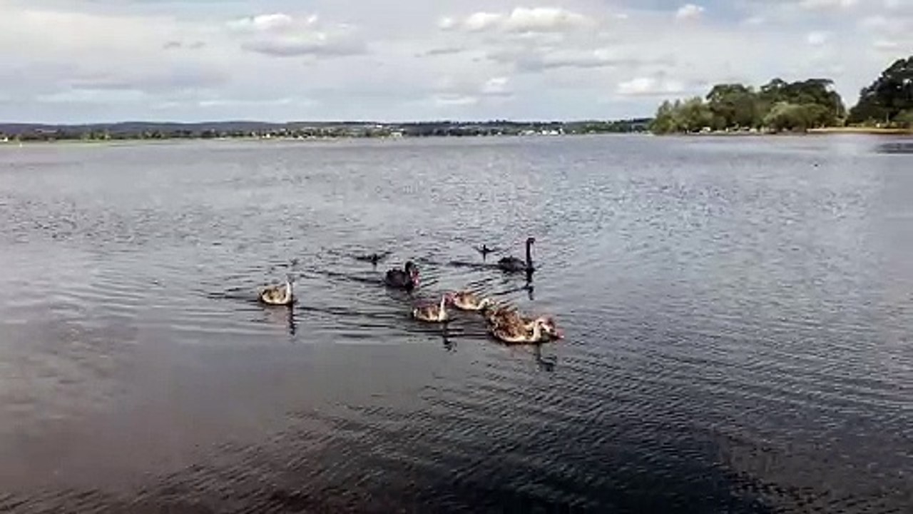 Fishing at the Lake