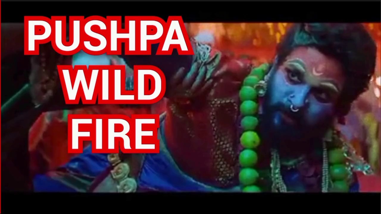 Pushpa-wild fire | pushpa2 | Sreeleela | rashmika | shikhawat | AlluArjun