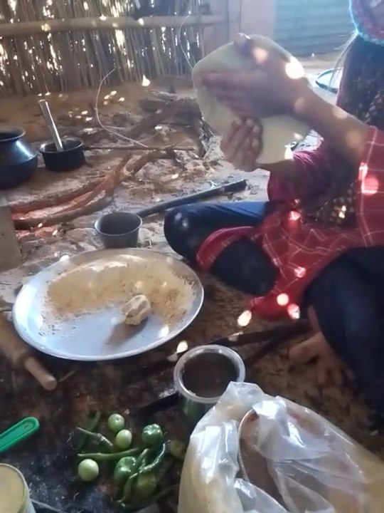 VID_20241229_134617