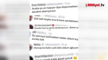 Havalimanında bulunan yavru gorile ilişkin bakanlık açıklama