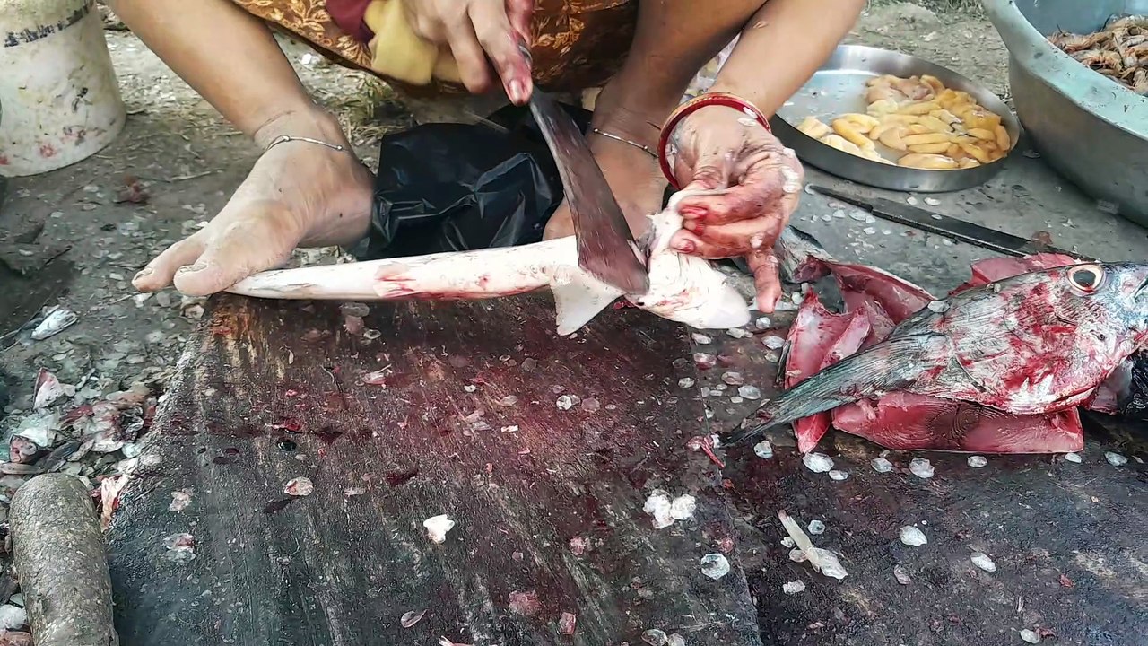 Small Shark fish Cutting & Chopping Indian fish market