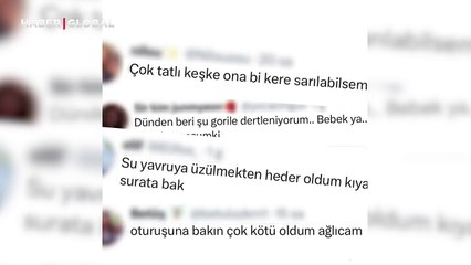Tarım ve Orman Bakanlığı "Ufaklıktan haber var" diyerek duyurdu: "Rehabilitasyon süreci devam ediyor"