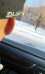 Faire la course à cheval avec une voiture... mauvaise idée