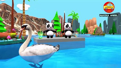 Vehicles and Animals Drink Juices Cartoons