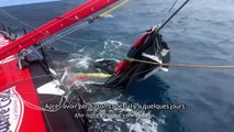 Vendée Globe 2024 / Heure de pointe au cap Horn - Daily Recap Jour 48