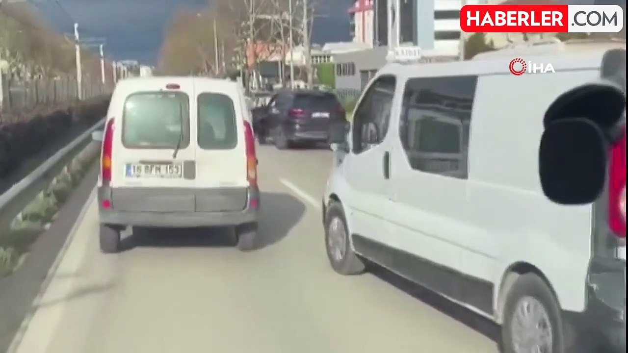 Köpek Trafiği Kilitledi