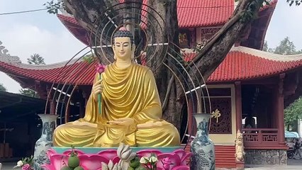 Nam Mô A Di Đà Phật - Nguyện Phật Từ TâM