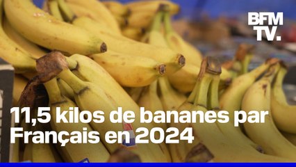Nourrissant, riche, économique... la banane est le fruit le plus consommé par le Français en 2024